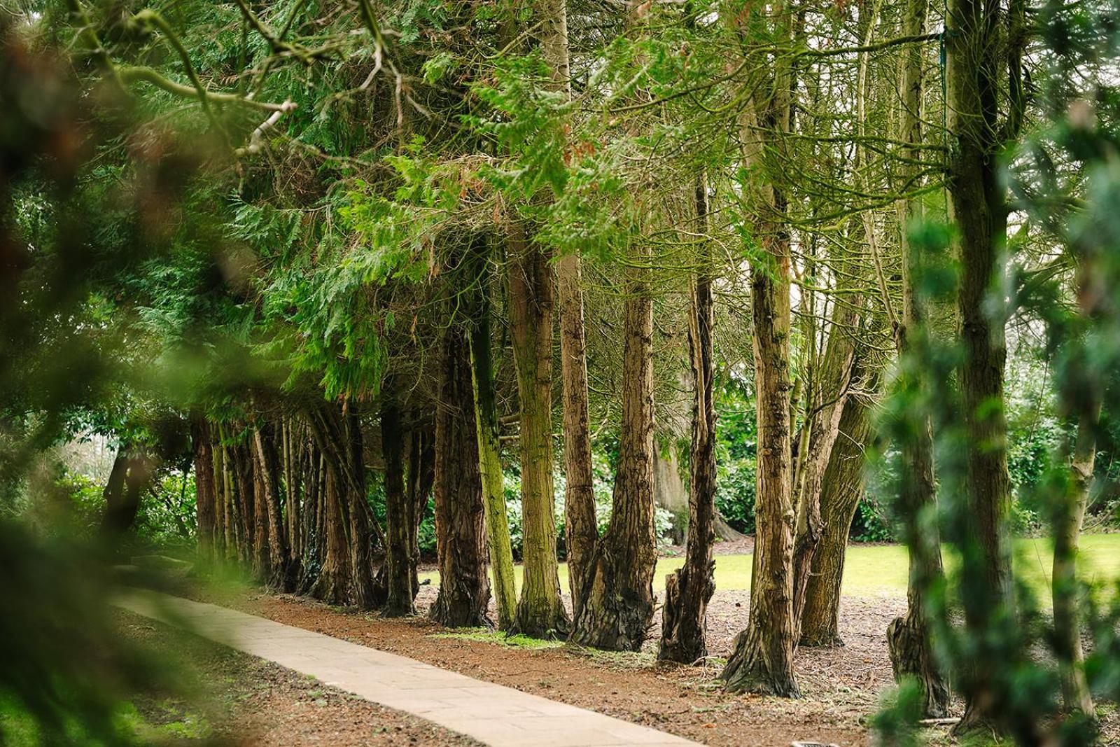 Ansty Hall Esterno foto